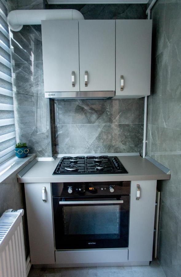 Loghin Residence Suceava Luaran gambar